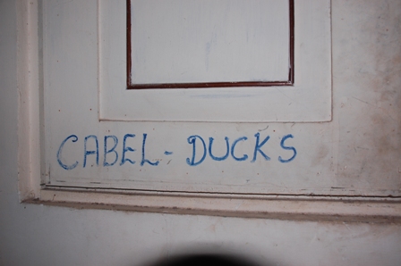 Cabel Ducks