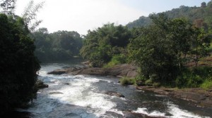 Chalakkudy river tributaries