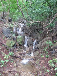 Dhoni water falls western ghats