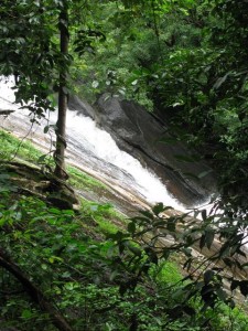 dhoni water falls western ghats