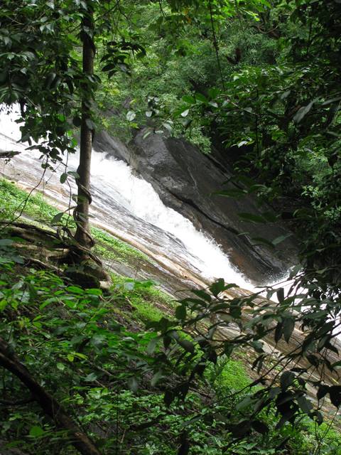 dhoni water falls western ghats