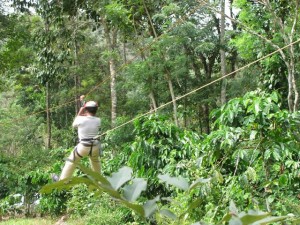 Pugmarks Jungle Lodge Wayanad