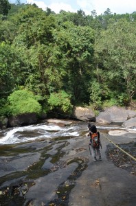 Meenmutty Falls Banasurasagar, Wayanad