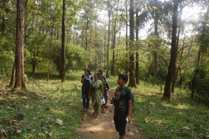 Thattekad Bird Sanctuary, Kerala