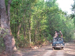 Kanha National Park, TravelWithaCouple, Unny Radhakrishnan, Bindhu Unny