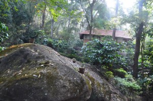 TravelWithacouple Edakkal Hermitage Wayanad