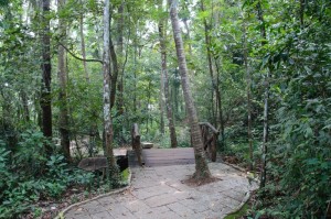 Sarovaram Bio Park Calicut TravelWithaCouple Unny Radhakrishnan Bindhu Unny