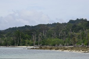 TravelWithaCouple Havelock Islands Elephant Beach Trek