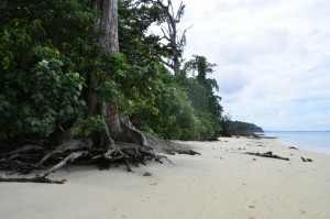 TravelWithaCouple Havelock Islands Elephant Beach