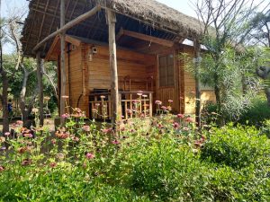 Lotus Eco Resort Konark Travelwithacouple Unny Bindhu