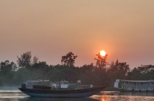 Sundarbans Tiger Reserve Nature India Travelwithacouple