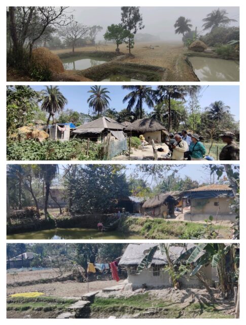 Sundarbans Tiger Reserve Nature India Travelwithacouple