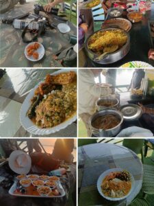 Sundarbans Tiger Reserve Nature India Travelwithacouple